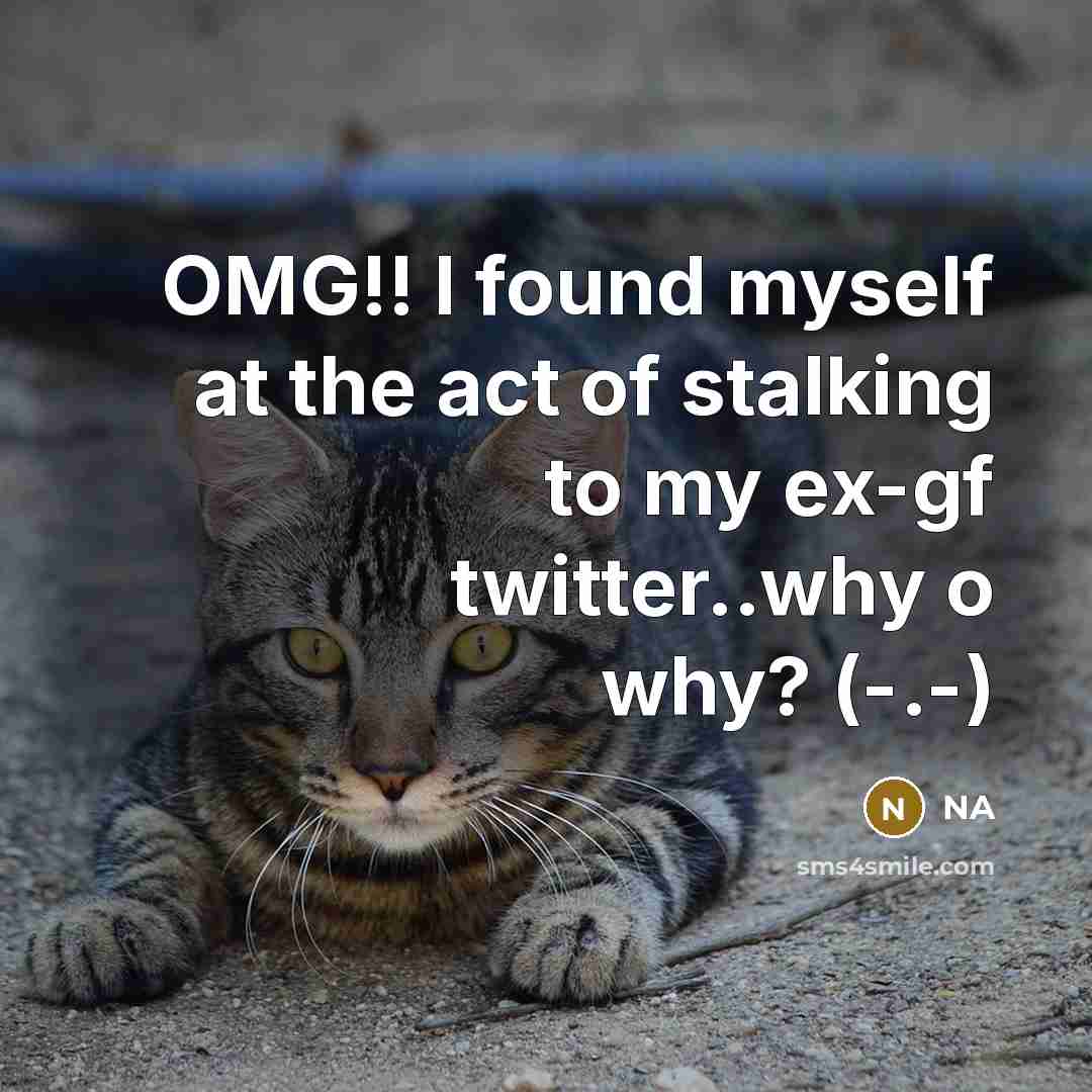 “OMG!! I found myself at the act of stalking to…” quote by NA