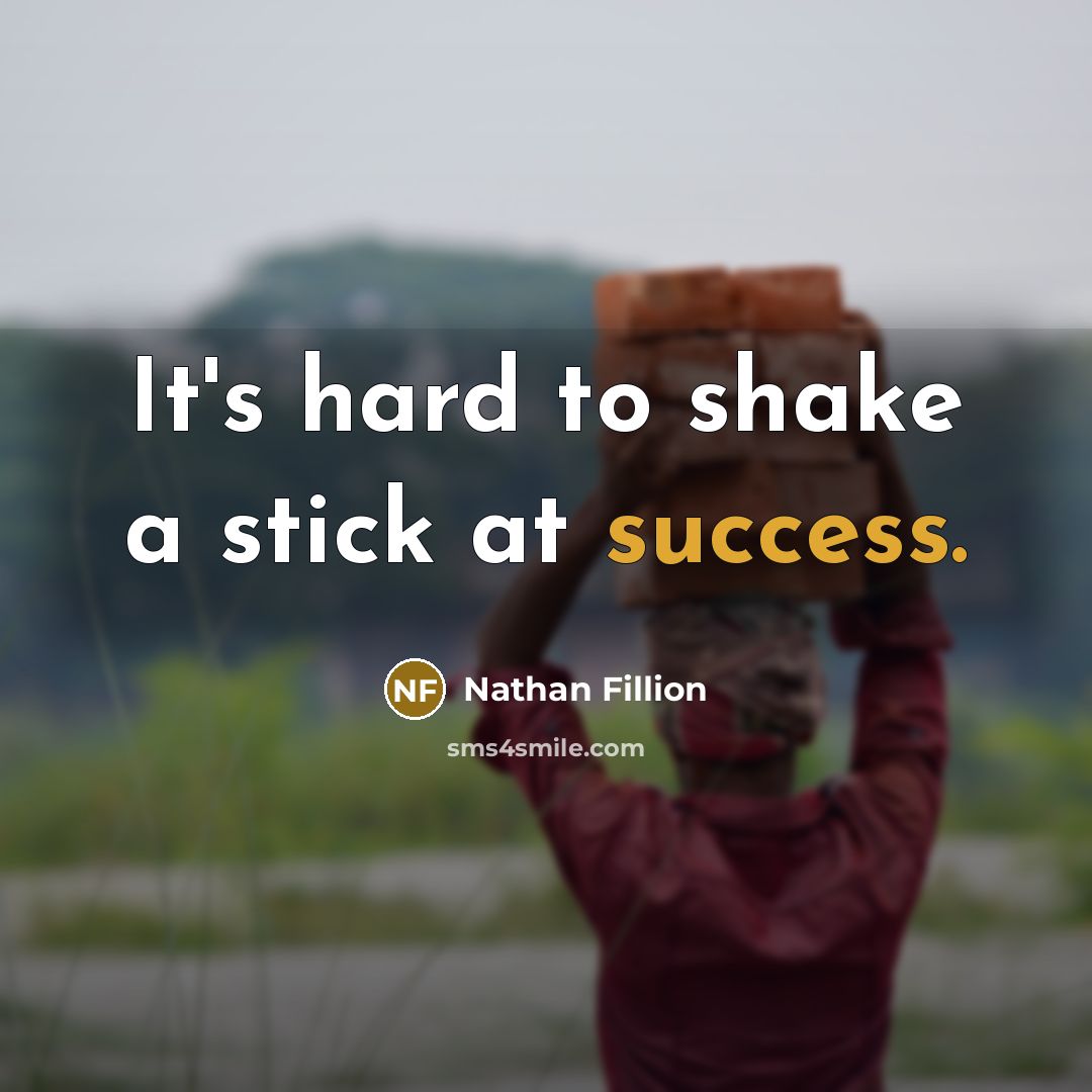 “It's hard to shake a stick at success.…” quote by Nathan Fillion