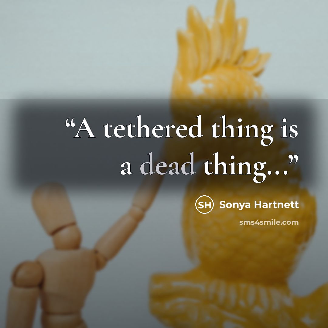 “A tethered thing is a dead thing...” quote by Sonya Hartnett
