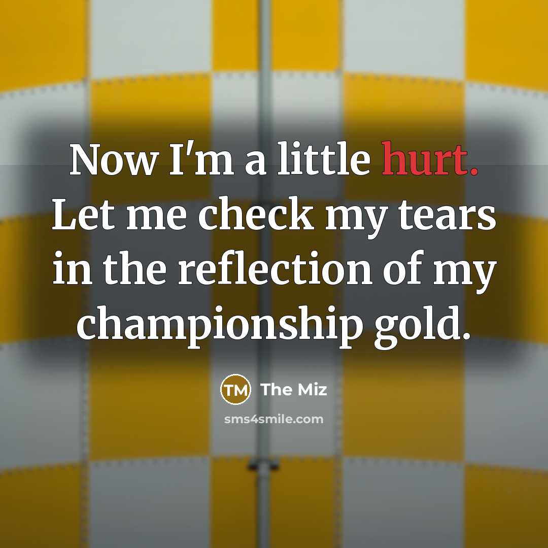 “Now I'm a little hurt. Let me check my tears…” quote by The Miz