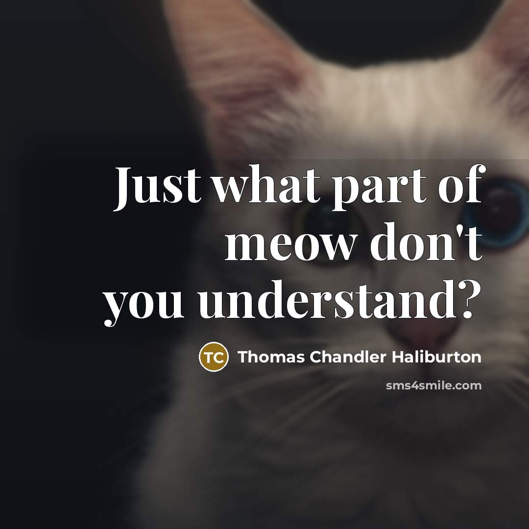 “Just what part of meow don't you understand?…” quote by Thomas Chandler Haliburton