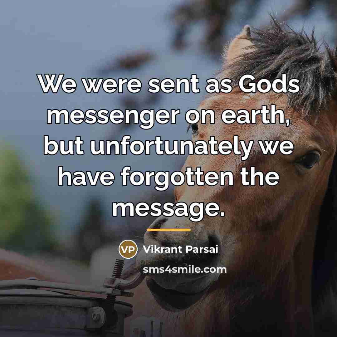 “We were sent as Gods messenger on earth, but unfortunately…” quote by Vikrant Parsai