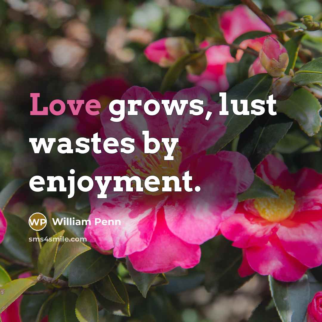 “Love grows, lust wastes by enjoyment.…” quote by William Penn