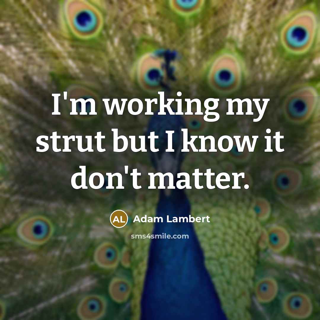 “I'm working my strut but I know it don't matter.” quote by Adam Lambert