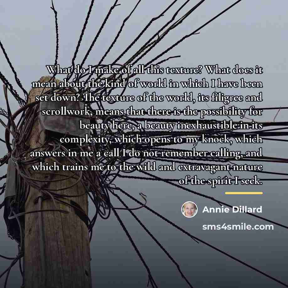 “What do I make of all this texture? What does…” quote by Annie Dillard