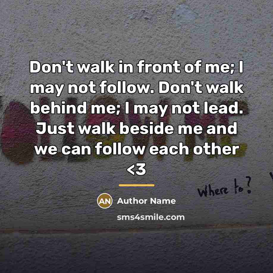 “Don't walk in front of me; I may not follow.…” quote by Author Name