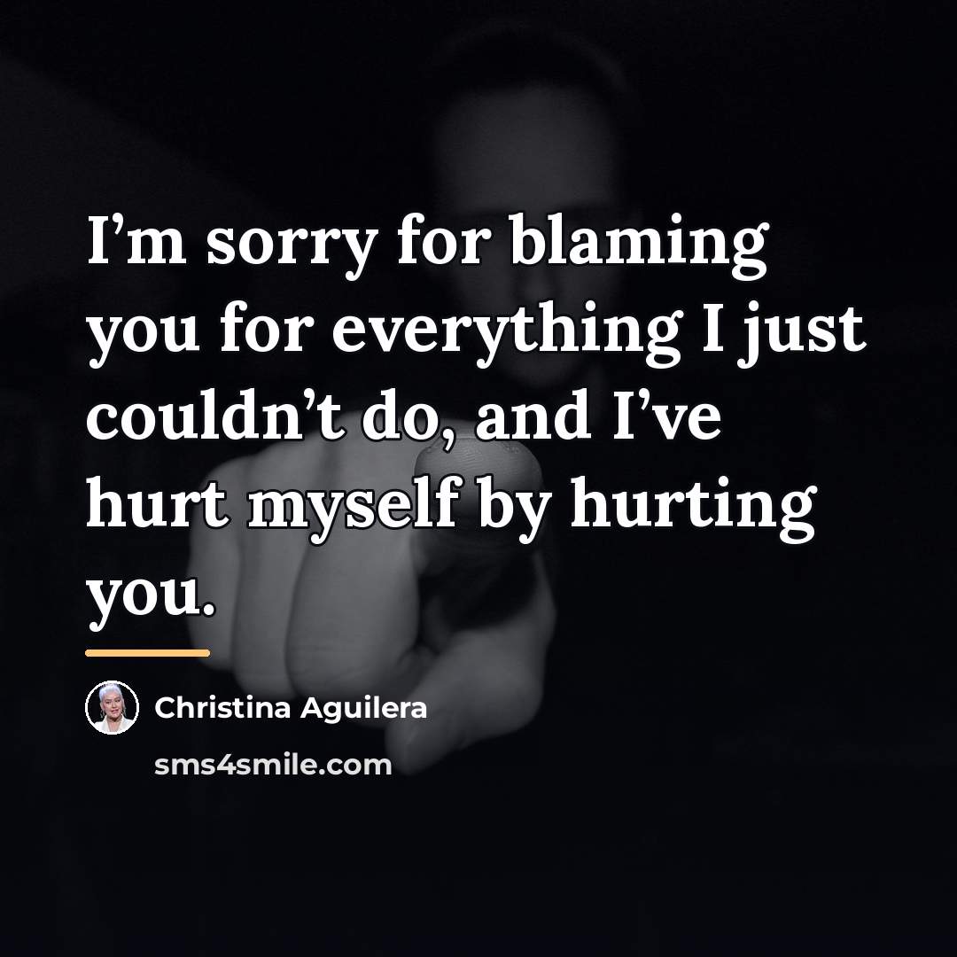 “I’m sorry for blaming you for everything I just couldn’t…” quote by Christina Aguilera