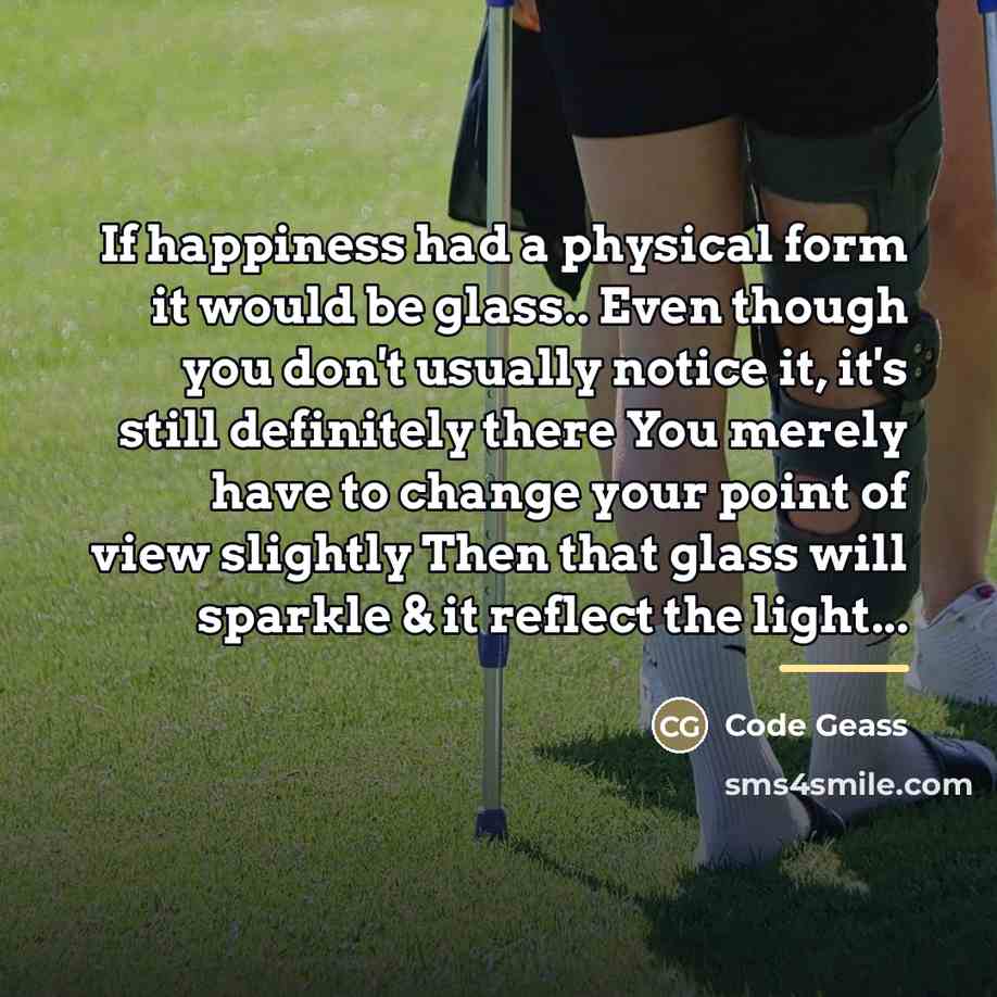 “If happiness had a physical form it would be glass..…” quote by Code Geass
