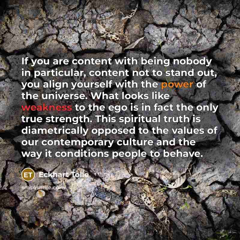 “If you are content with being nobody in particular, content…” quote by Eckhart Tolle