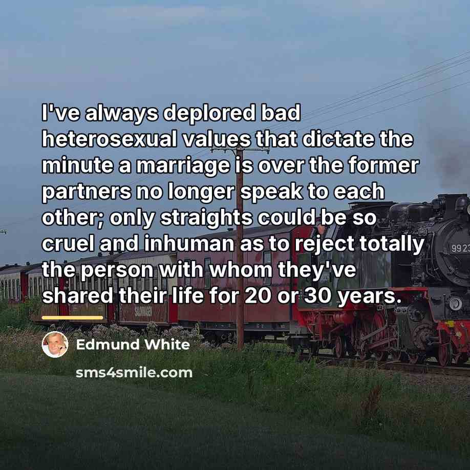 “I've always deplored bad heterosexual values that dictate the minute…” quote by Edmund White