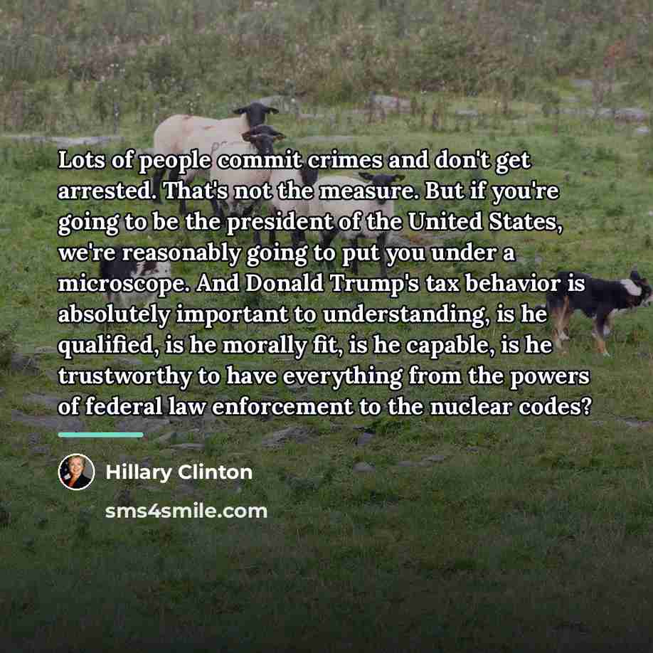 “Lots of people commit crimes and don't get arrested. That's…” quote by Hillary Clinton