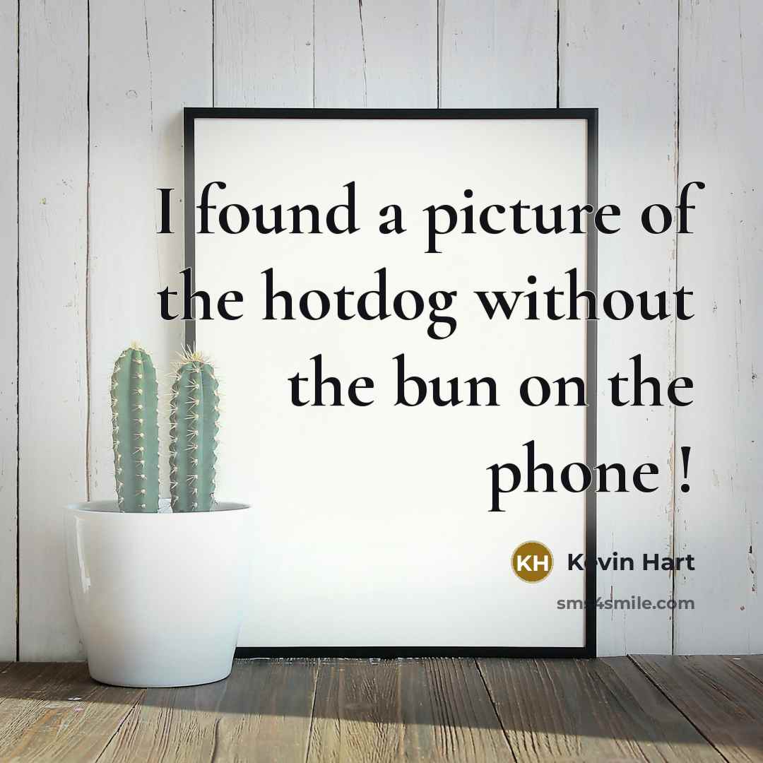 “I found a picture of the hotdog without the bun on the phone !” quote by Kevin Hart