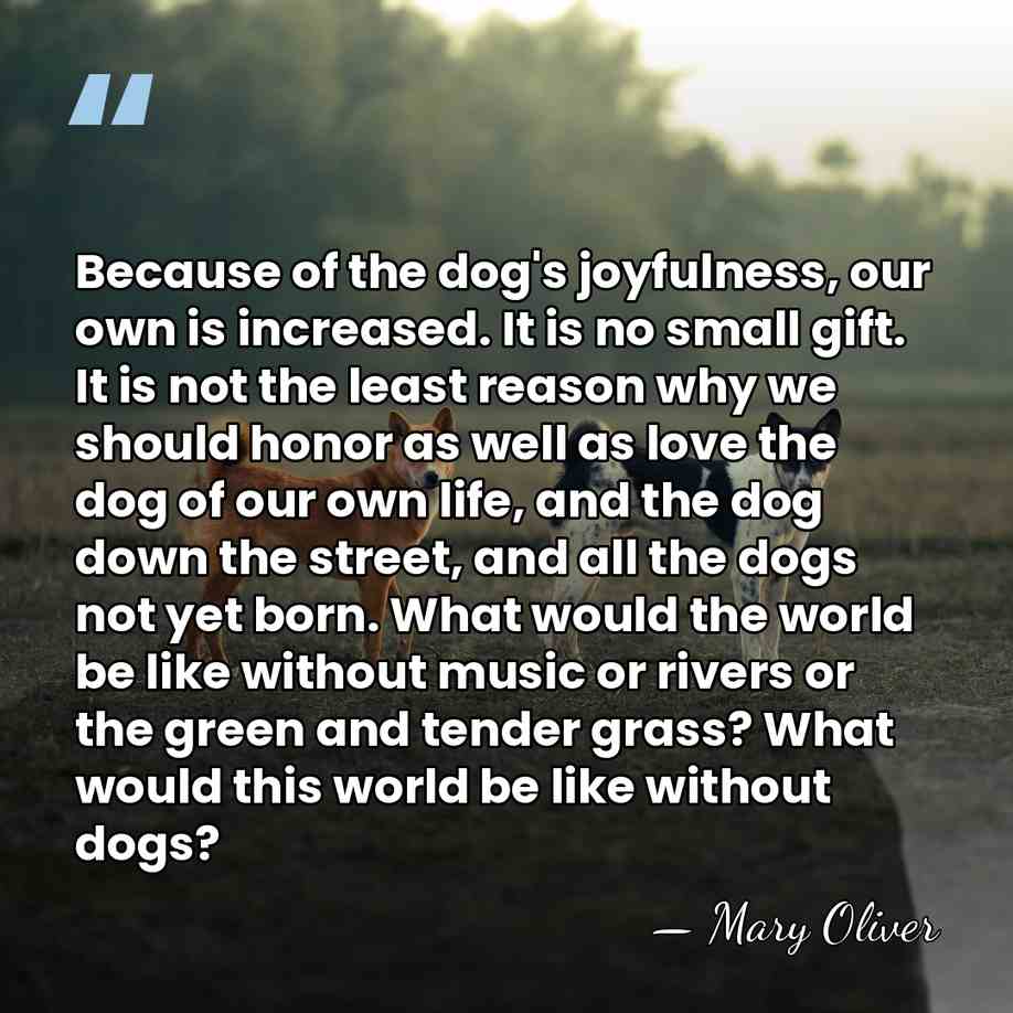 Because of the dog's joyfulness, our own is increased. It is no&hellip; - Mary Oliver