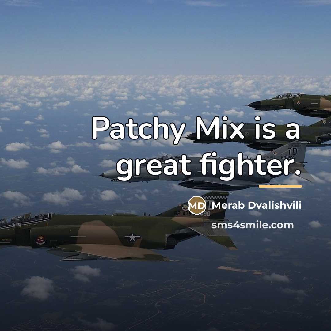 “Patchy Mix is a great fighter.…” quote by Merab Dvalishvili