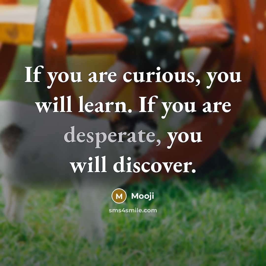 “If you are curious, you will learn. If you are…” quote by Mooji