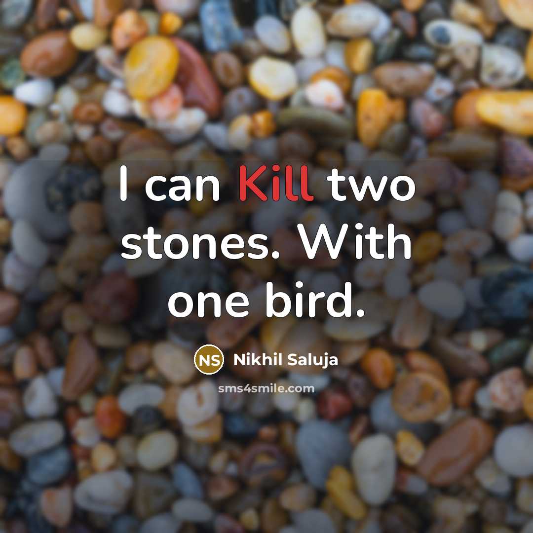 “I can Kill two stones. With one bird.…” quote by Nikhil Saluja