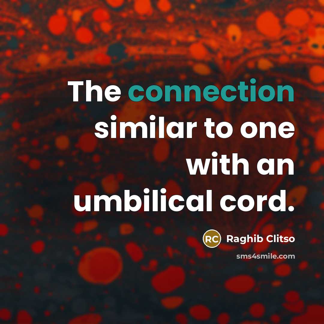 “The connection similar to one with an umbilical cord.…” quote by Raghib Clitso