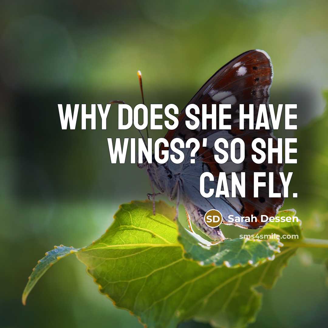 “Why does she have wings?' So she can fly.…” quote by Sarah Dessen