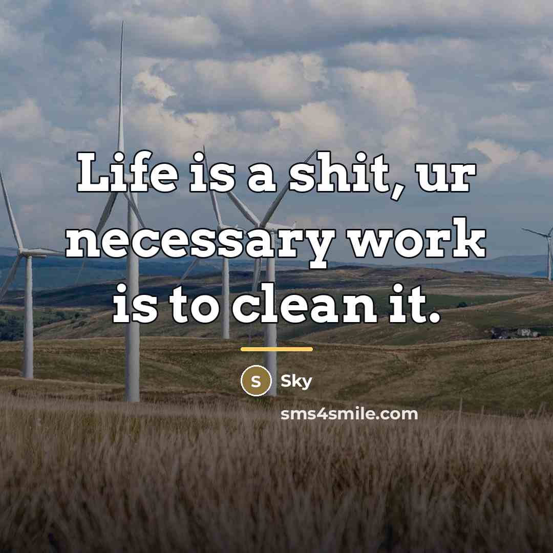 “Life is a shit, ur necessary work is to clean…” quote by Sky