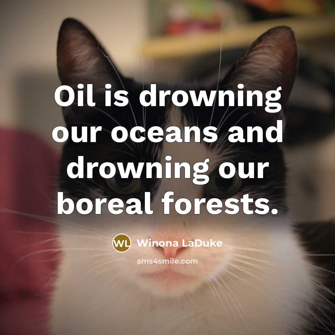 “Oil is drowning our oceans and drowning our boreal forests.…” quote by Winona LaDuke