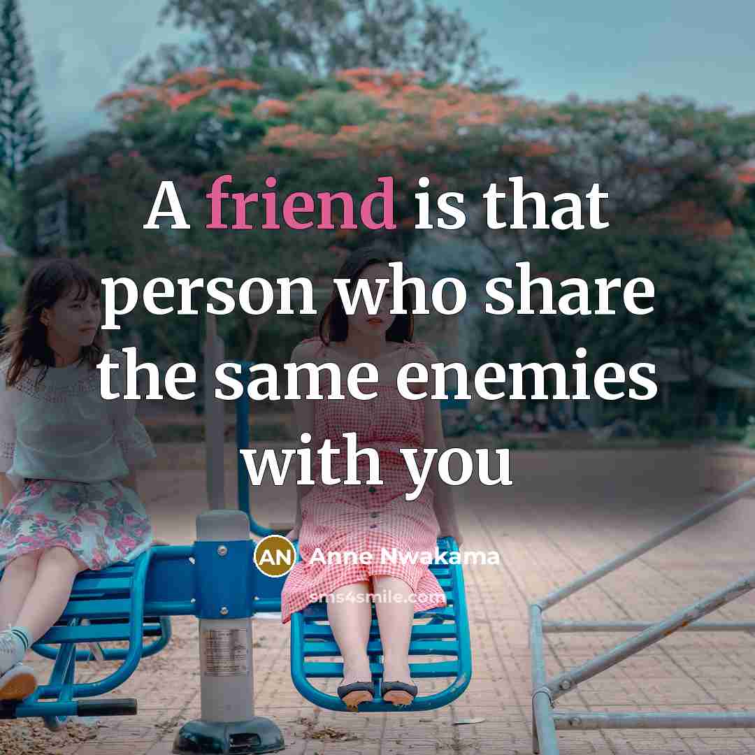 “A friend is that person who share the same enemies…” quote by Anne Nwakama