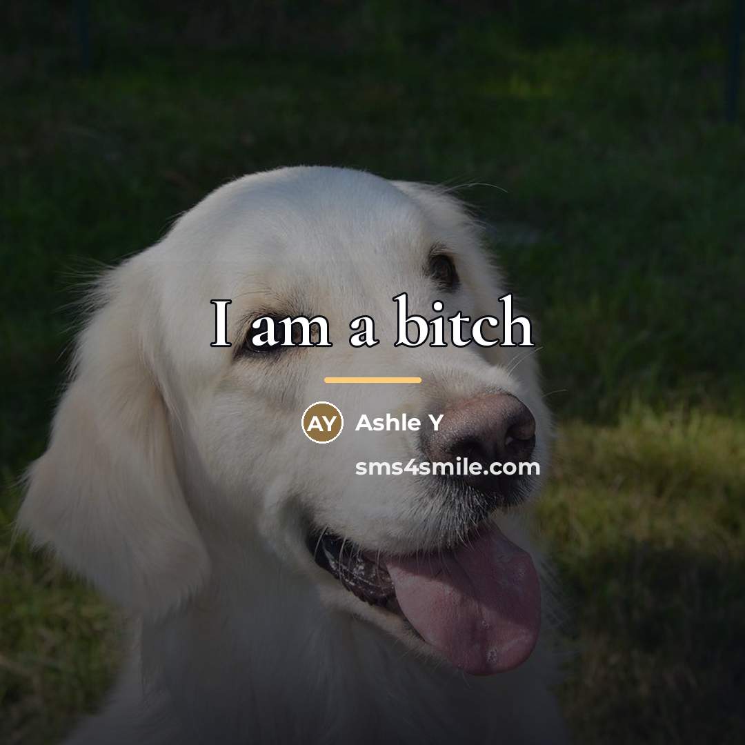 “I am a bitch…” quote by Anonymous