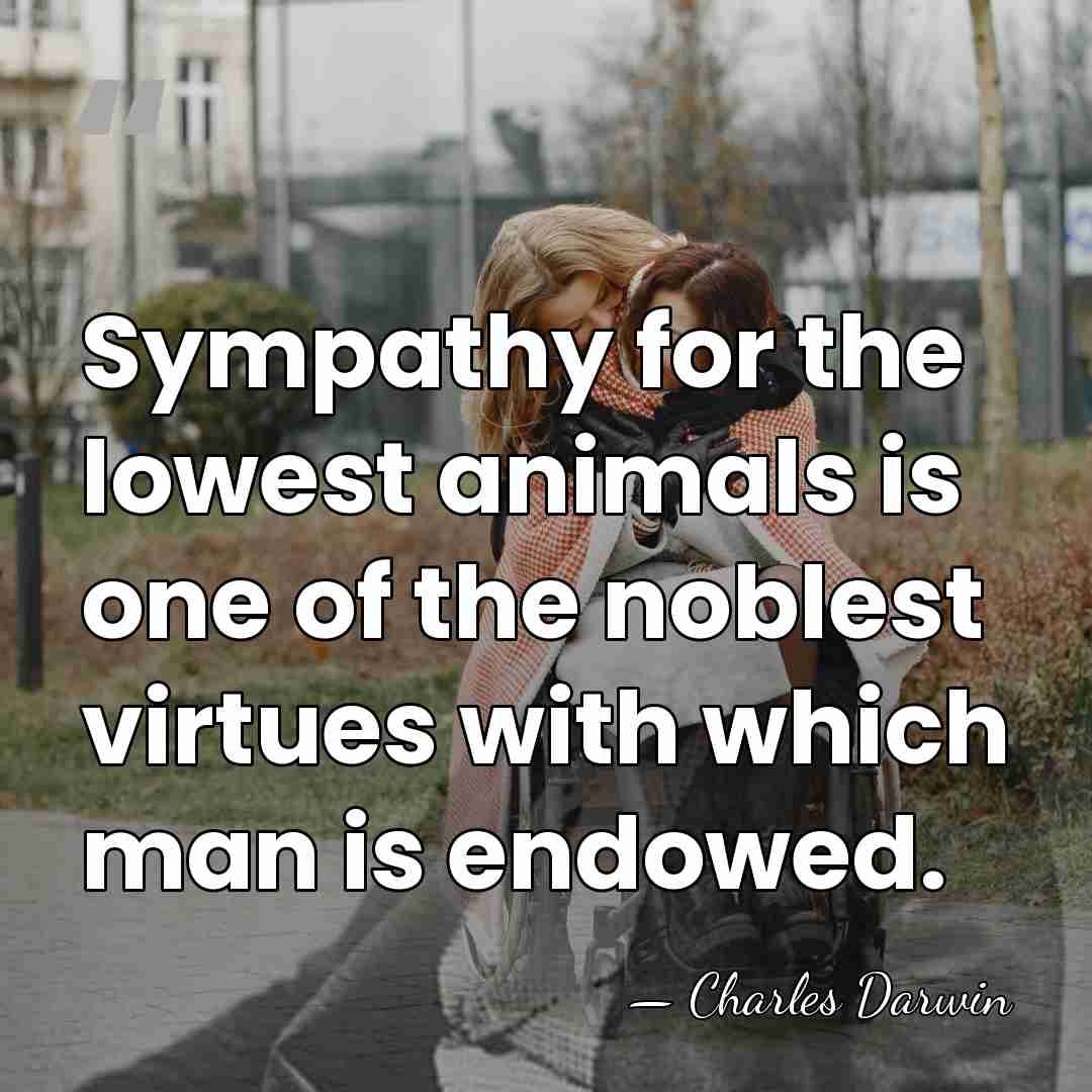 Sympathy for the lowest animals is one of the noblest virtues with&hellip; - Charles Darwin
