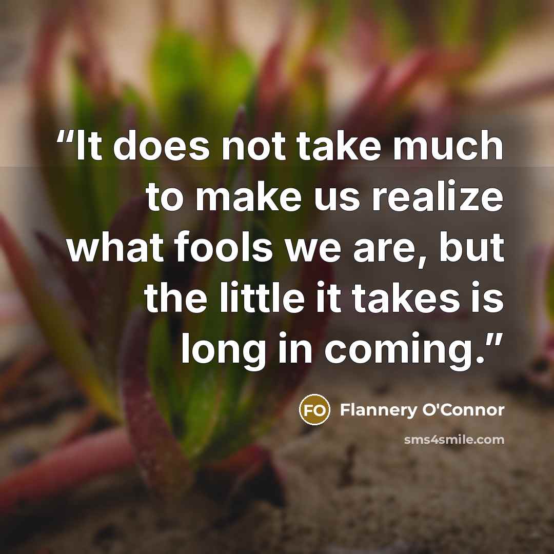 “It does not take much to make us realize what fools we are, but the little it takes is long in coming.” quote by Flannery O'Connor