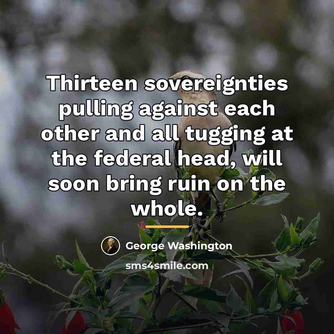 “Thirteen sovereignties pulling against each other and all tugging at…” quote by George Washington