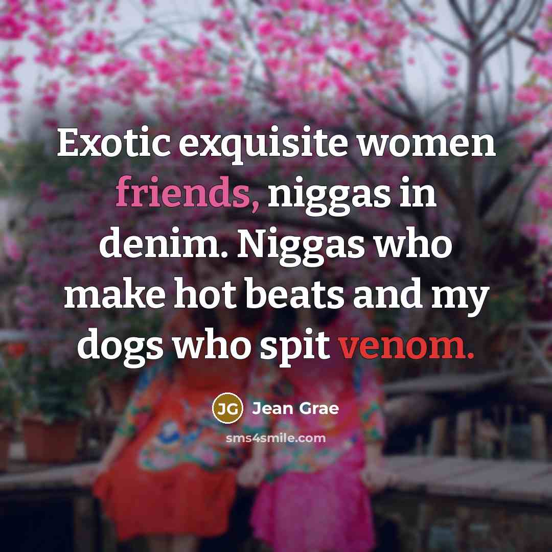 “Exotic exquisite women friends, niggas in denim. Niggas who make…” quote by Jean Grae