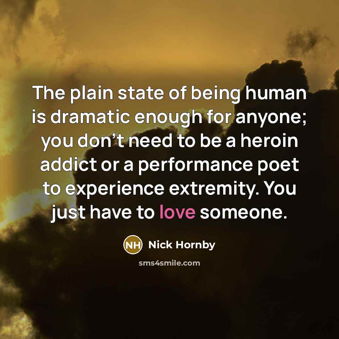 “The plain state of being human is dramatic enough for…” quote by Nick Hornby