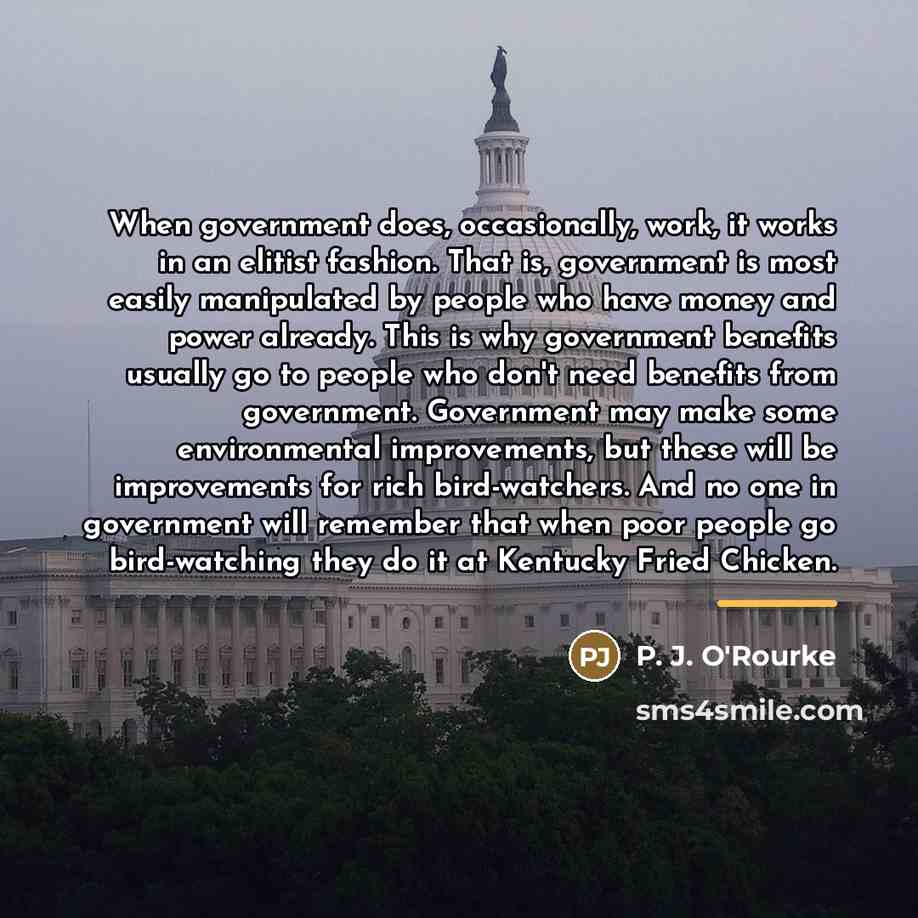 “When government does, occasionally, work, it works in an elitist…” quote by P. J. O'Rourke
