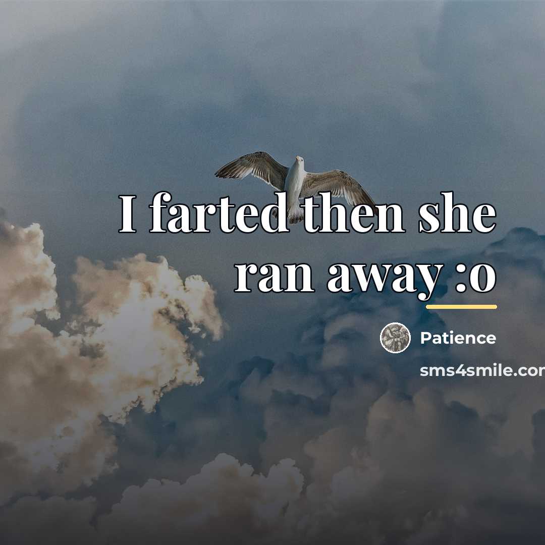 “I farted then she ran away :o…” quote by Patience