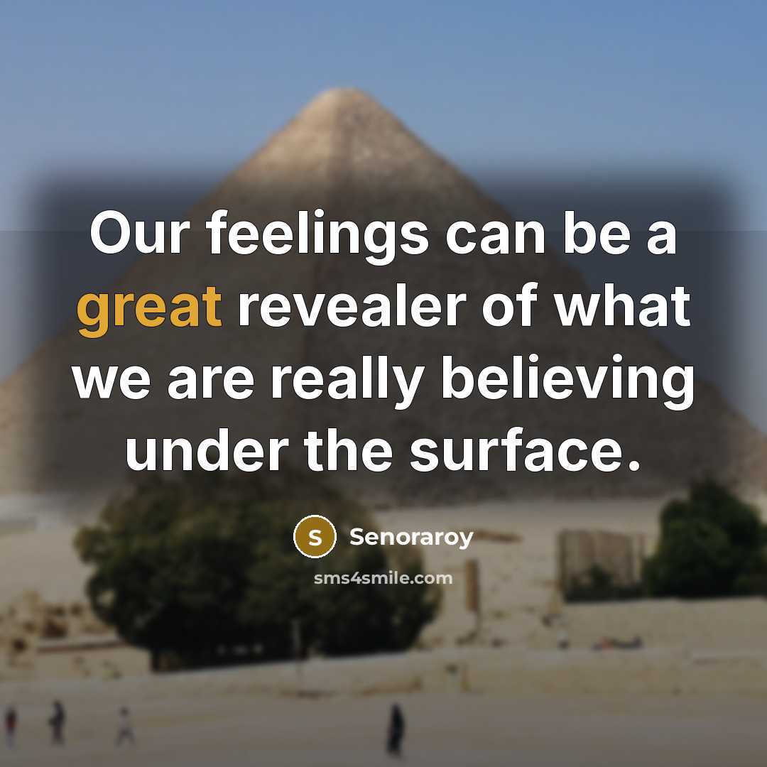 “Our feelings can be a great revealer of what we…” quote by Senoraroy