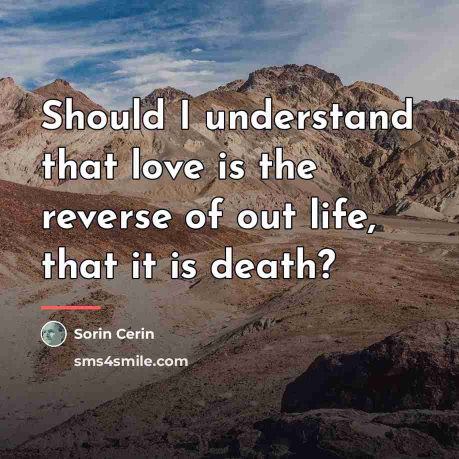 “Should I understand that love is the reverse of out…” quote by Sorin Cerin