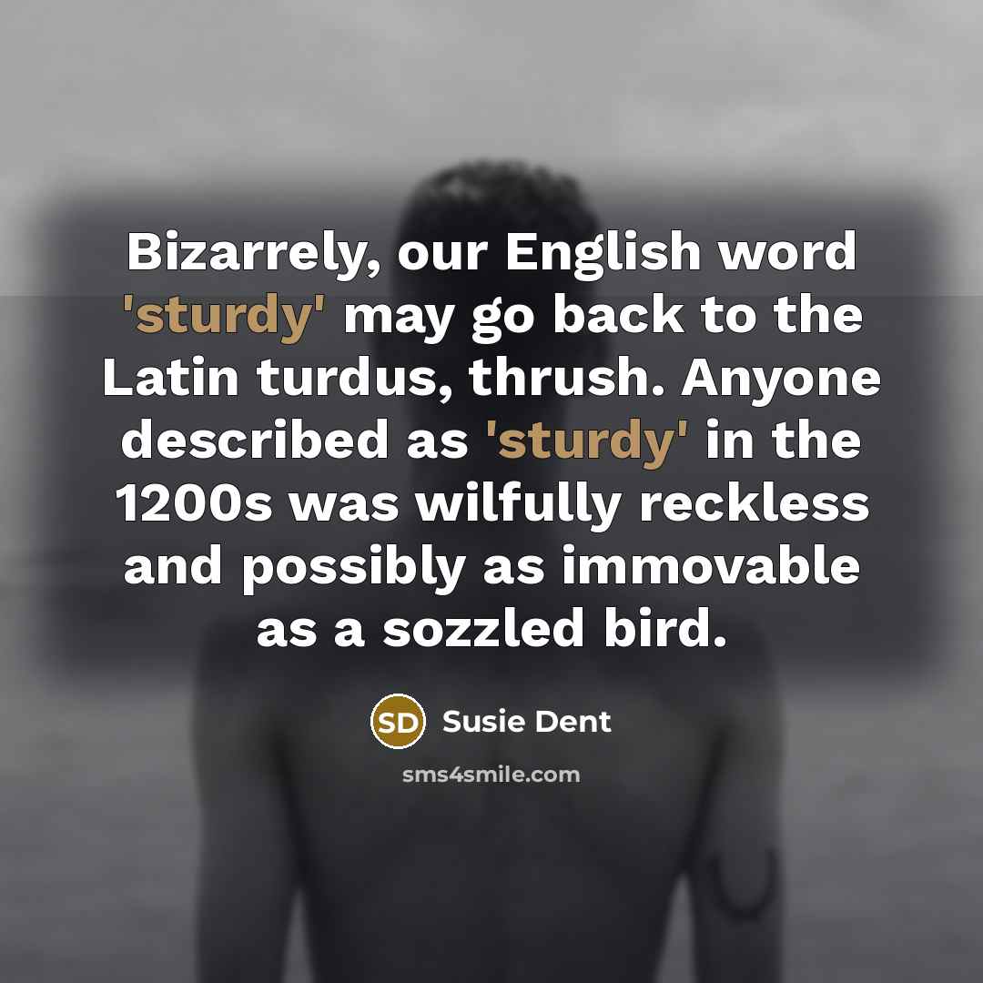 “Bizarrely, our English word 'sturdy' may go back to the…” quote by Susie Dent
