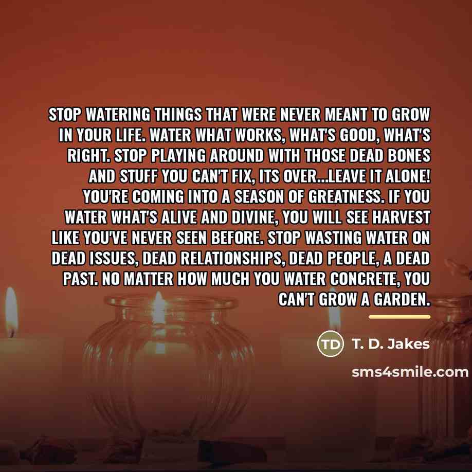 “Stop watering things that were never meant to grow in…” quote by T. D. Jakes