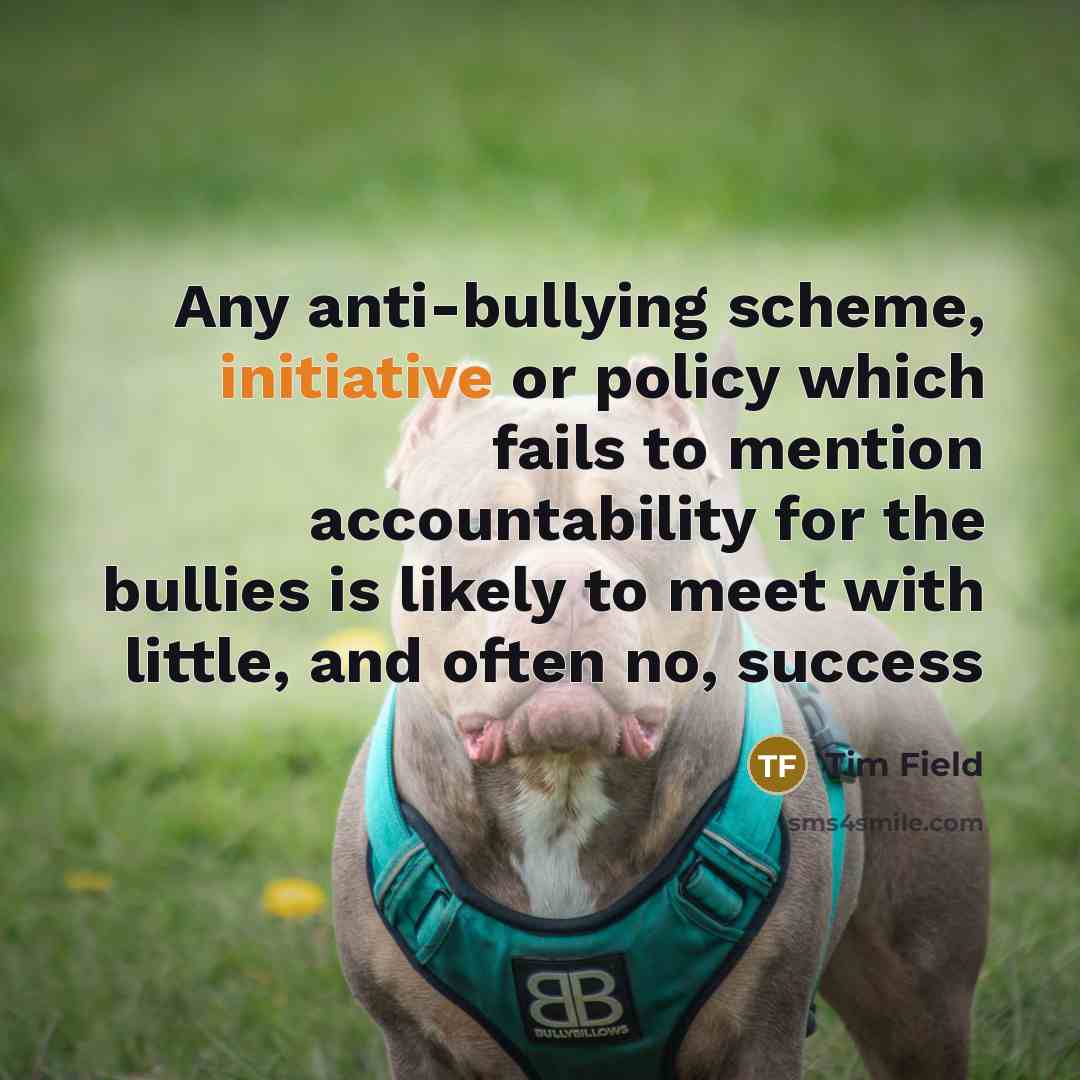 “Any anti-bullying scheme, initiative or policy which fails to mention…” quote by Tim Field