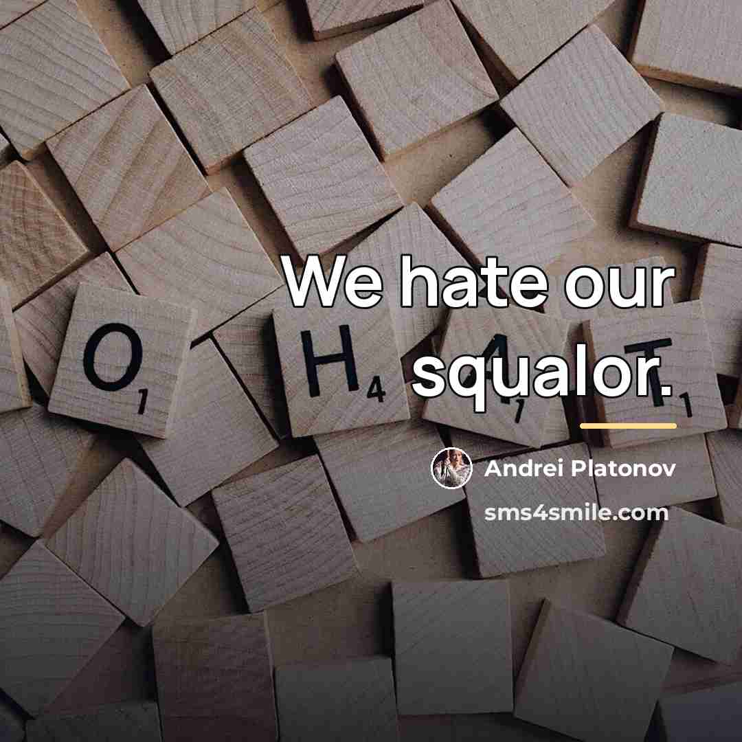 “We hate our squalor.…” quote by Andrei Platonov