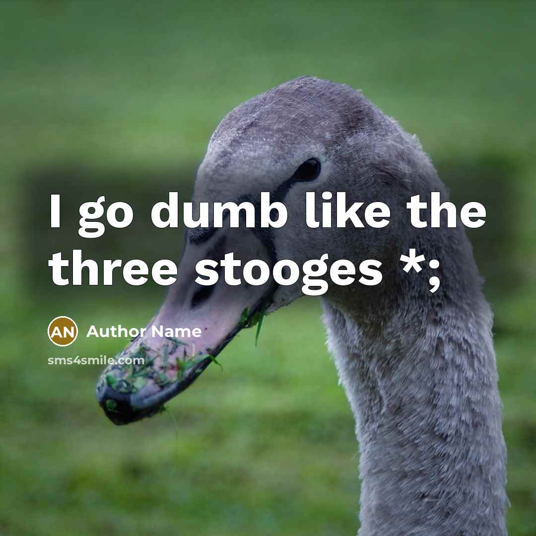 “I go dumb like the three stooges *;…” quote by Author Name
