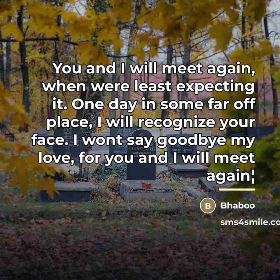 “You and I will meet again, when were least expecting…” quote by Bhaboo