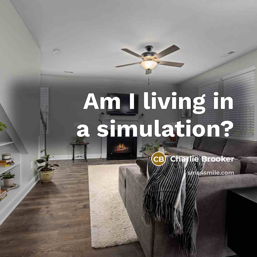 “Am I living in a simulation?…” quote by Charlie Brooker