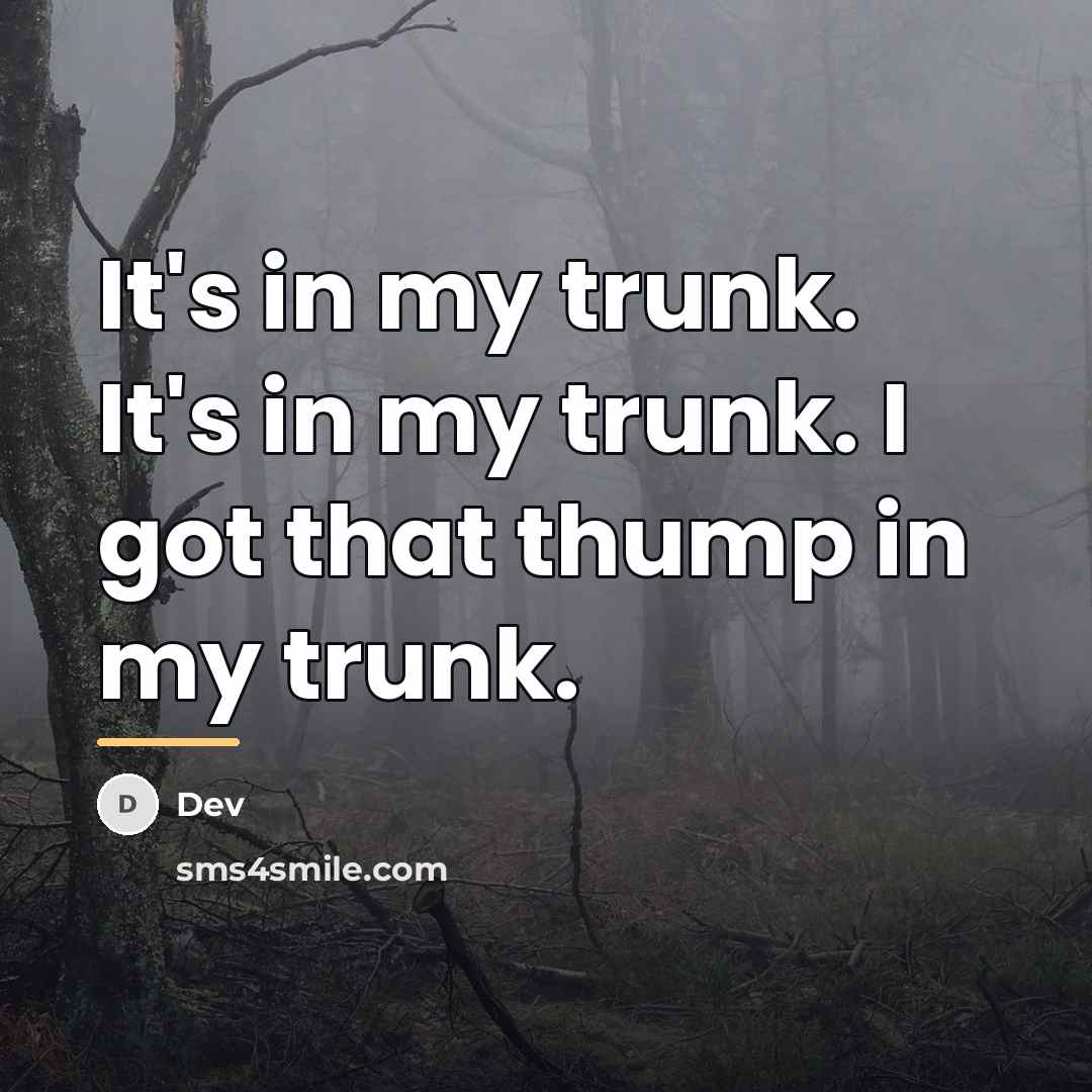 “It's in my trunk. It's in my trunk. I got…” quote by Dev