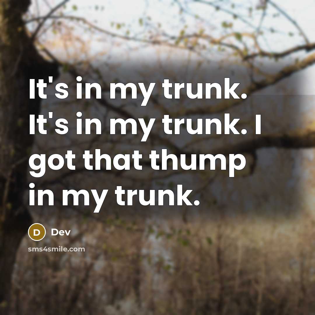 “It's in my trunk. It's in my trunk. I got that thump in my trunk.” quote by Dev
