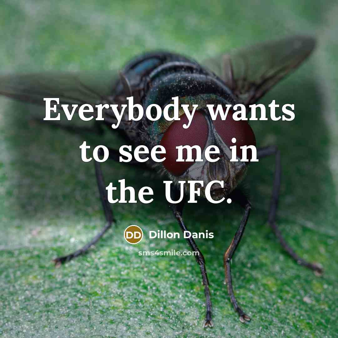 “Everybody wants to see me in the UFC.…” quote by Dillon Danis