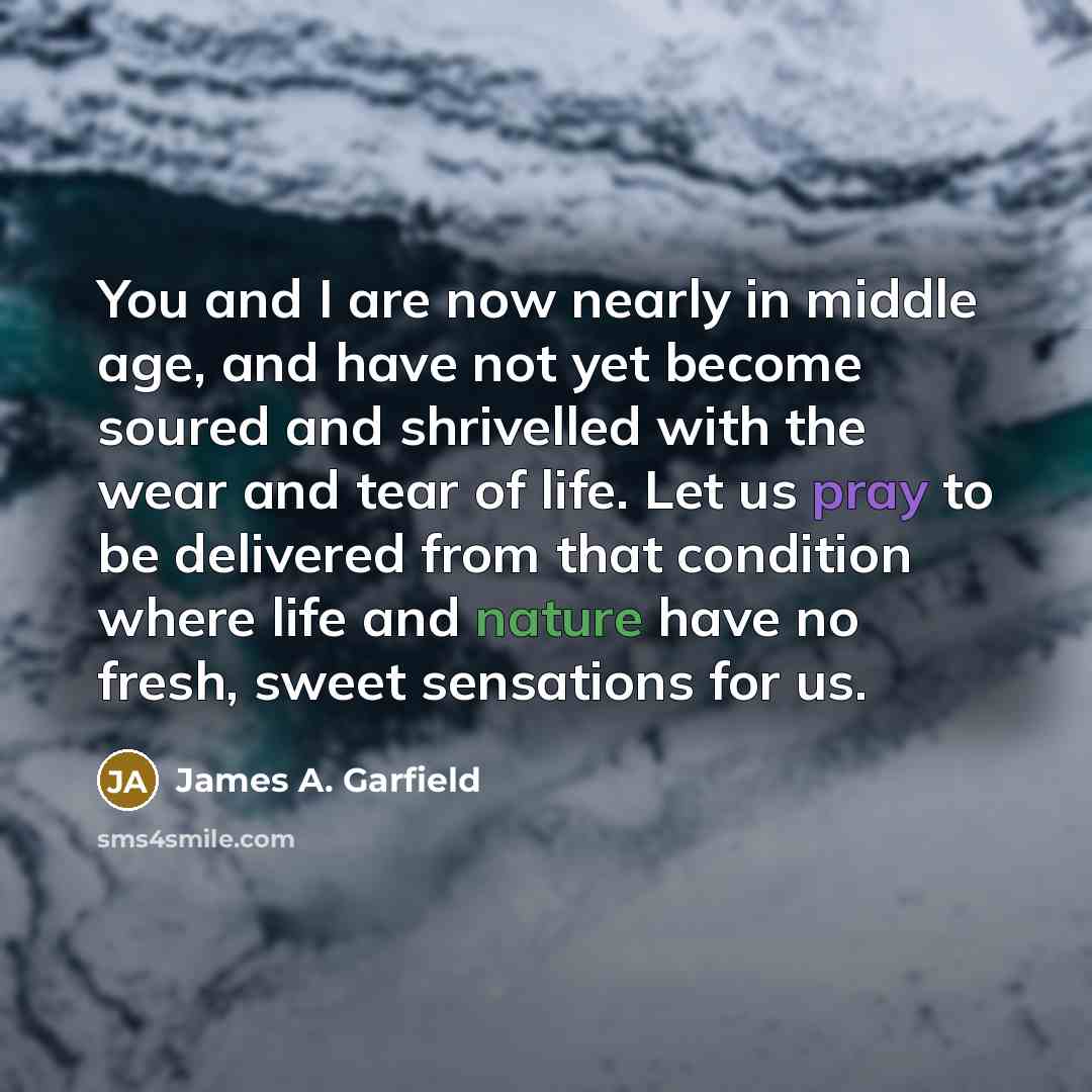 “You and I are now nearly in middle age, and…” quote by James A. Garfield