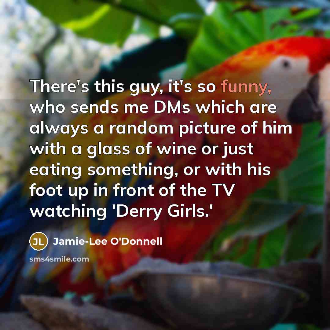 “There's this guy, it's so funny, who sends me DMs…” quote by Jamie-Lee O'Donnell