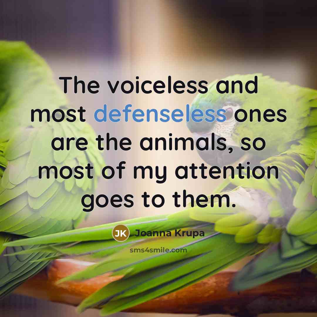 “The voiceless and most defenseless ones are the animals, so most of my attention goes to them.” quote by Joanna Krupa