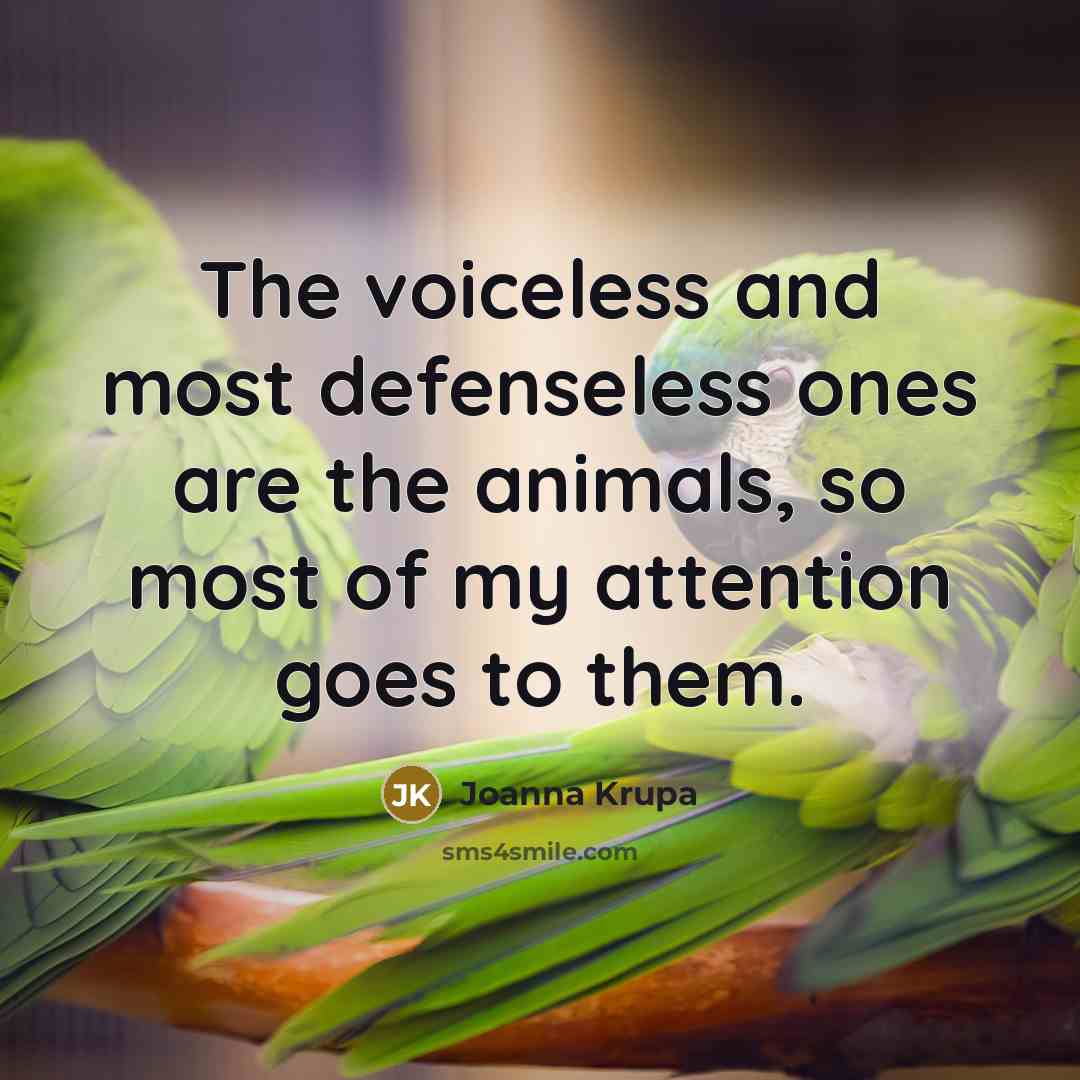 “The voiceless and most defenseless ones are the animals, so…” quote by Joanna Krupa