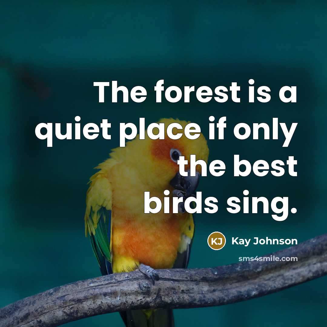 “The forest is a quiet place if only the best birds sing.” quote by Kay Johnson